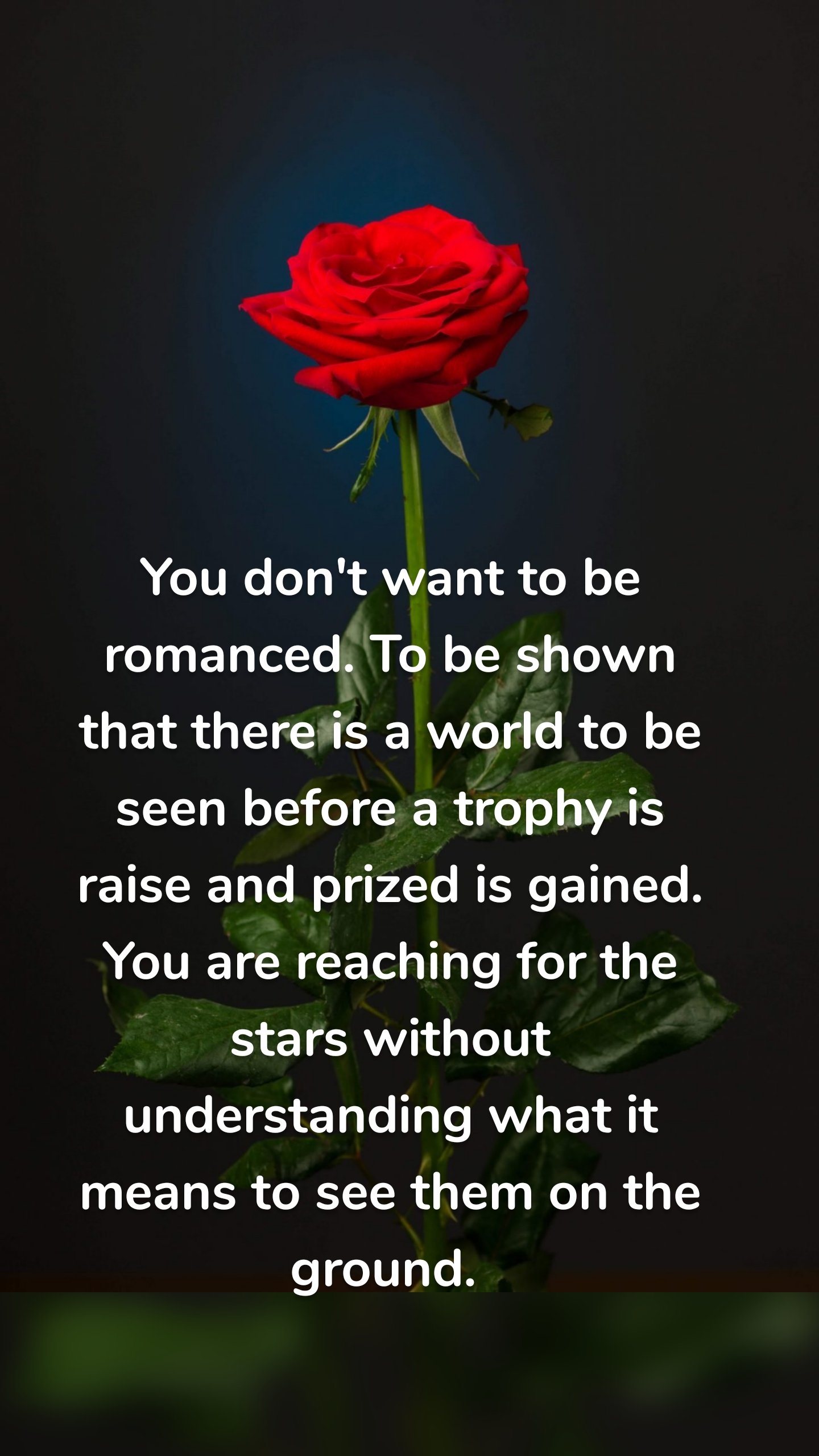 You don't want to be romanced. To be shown that there is a world to be seen before a trophy is raise and prized is gained. You are reaching for the stars without understanding what it means to see them on the ground. 