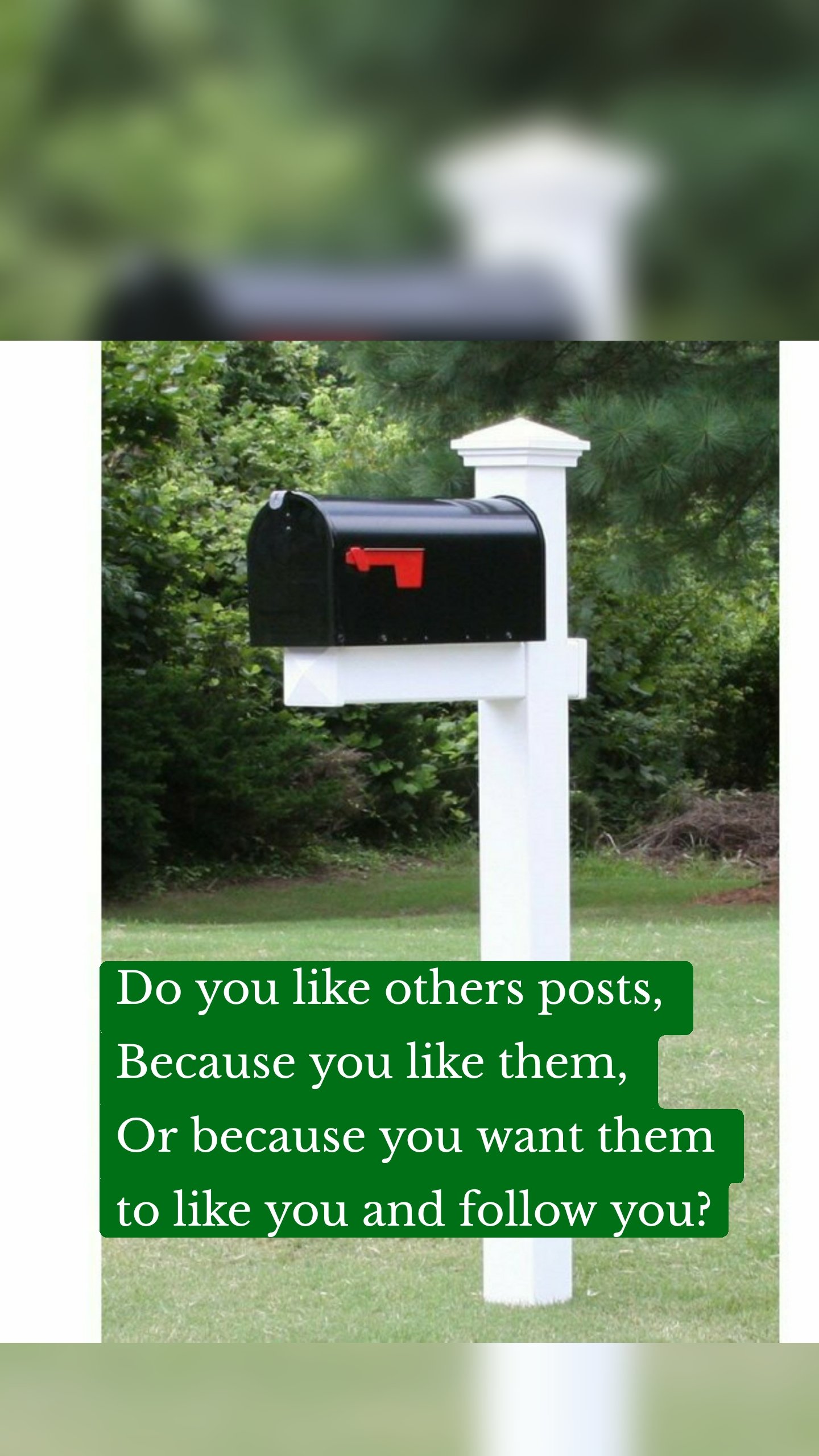 Do you like others posts,
Because you like them,
Or because you want them to like you and follow you?