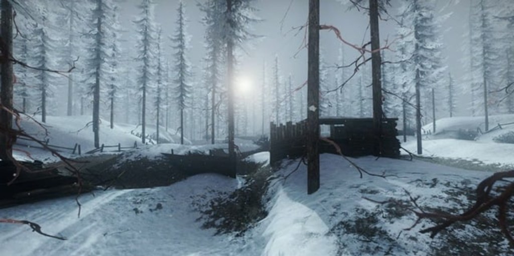 Stones in the&nbsp;woods